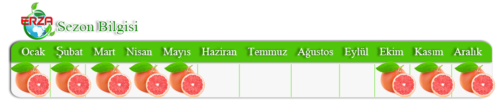 Mersin'de Limon İhracatı
