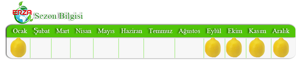 Mersin'de Limon İhracatı