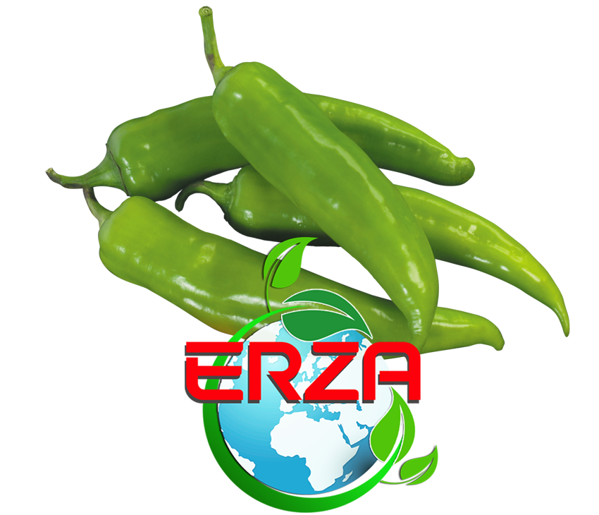 Mersin'de Biber İhracatı