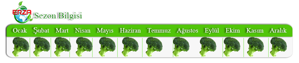 Nar İhracatı