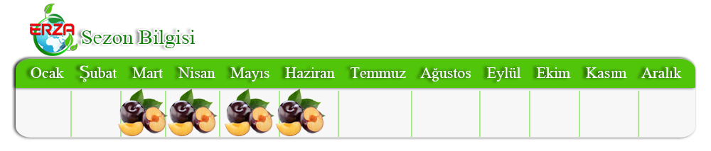 Şekerpare İhracatı