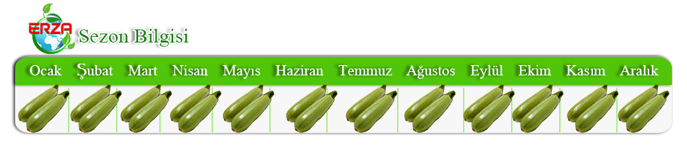 Nar İhracatı