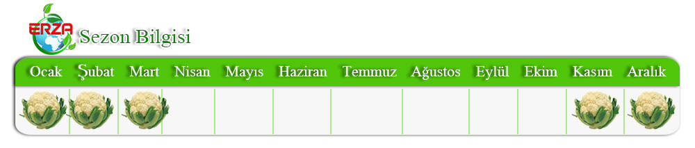 Nar İhracatı