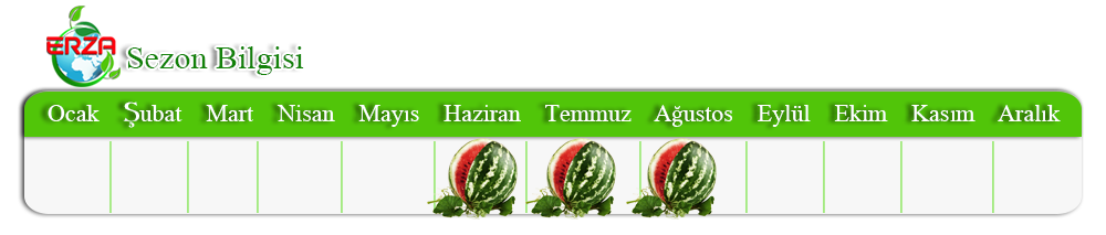 Karpuz İhracatı