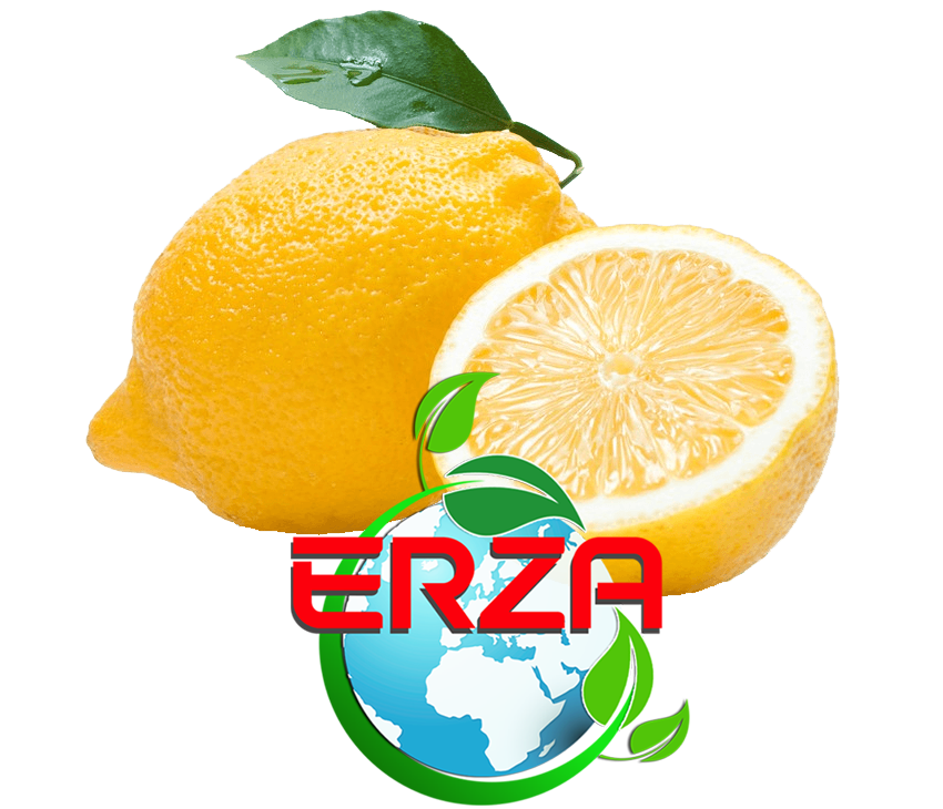 Mersin'den Limon İhracatı