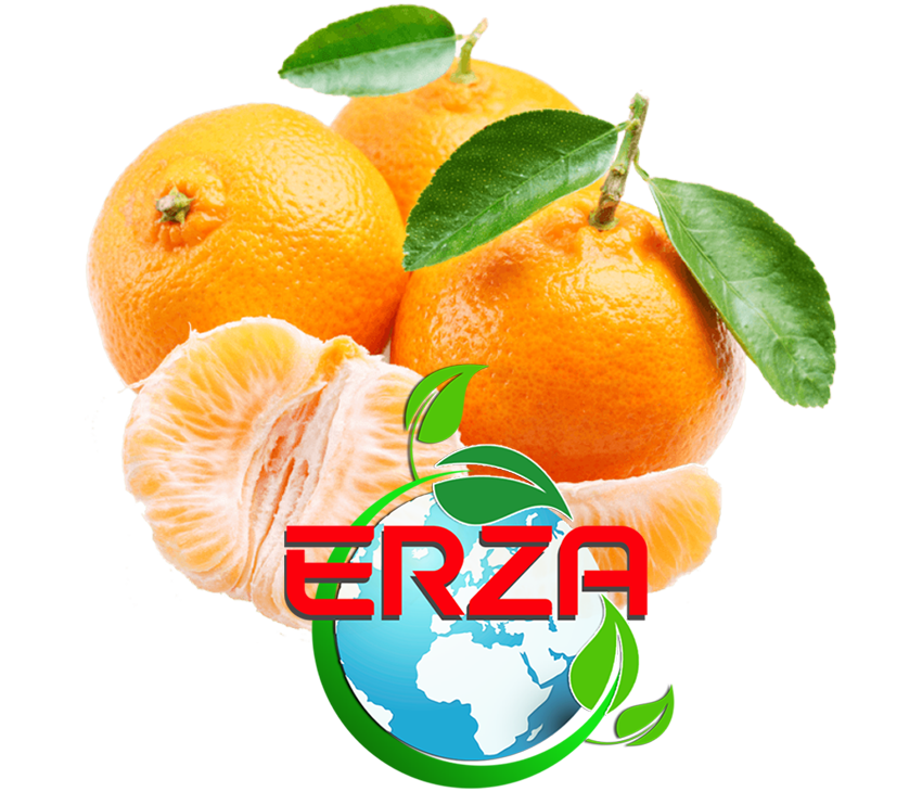 Leziz Mandalina 