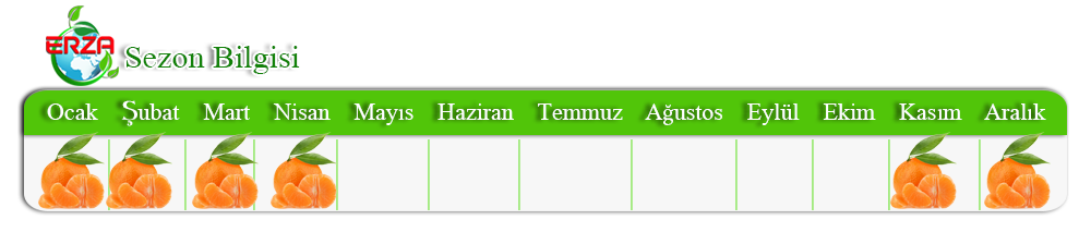 Mersin'de Limon İhracatı
