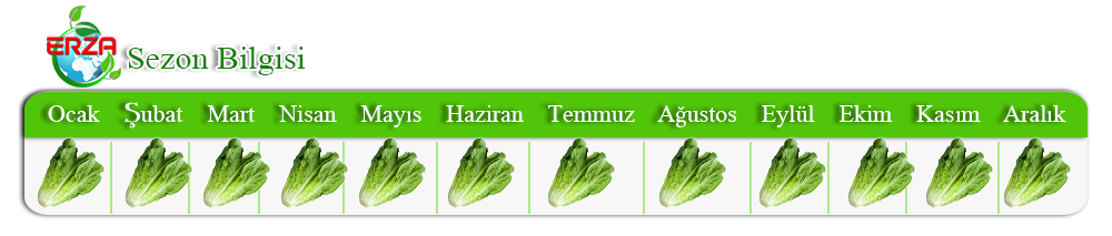 Nar İhracatı