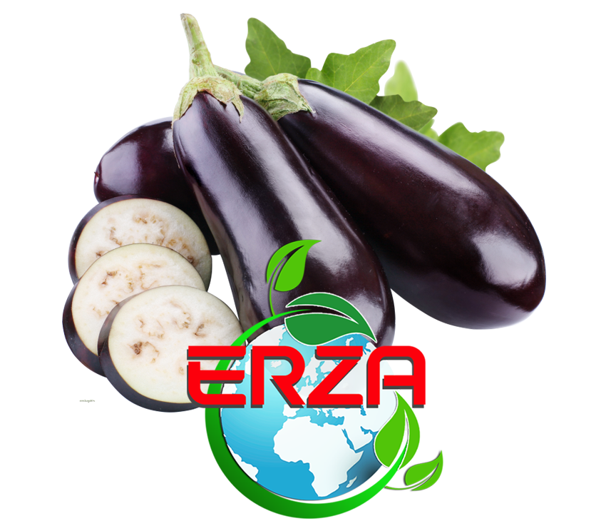 Erza Tarım Sebze İhracatı