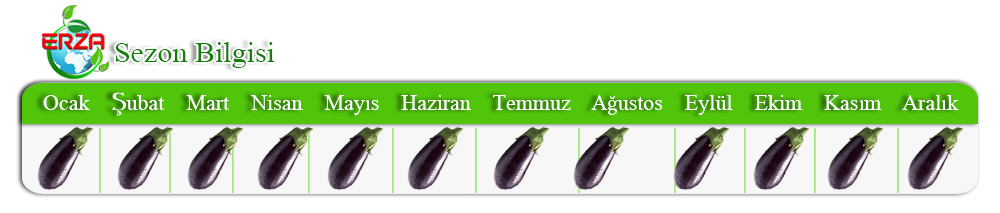 Patlıcan İhracatı