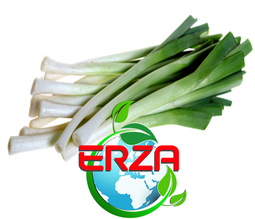 Erza Tarım'dan Pırasa