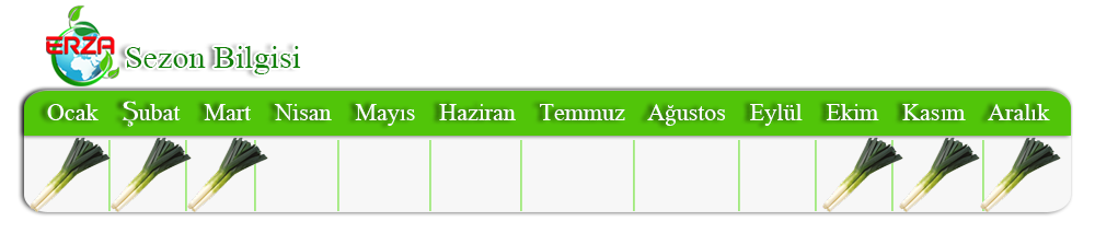 Nar İhracatı