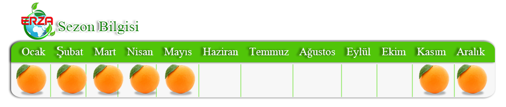 Mersin'de Limon İhracatı