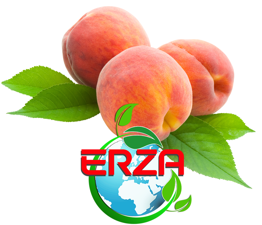 Erza Tarım Şeftali